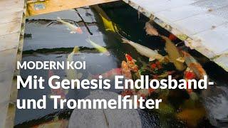 Bennos 120.000 l Riesenteich mit gewaltigem Genesis Filter | Modern Koi Blog #6569