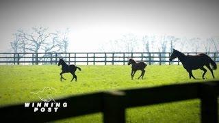 CNN Winning Post Dubai World Cup Trailer