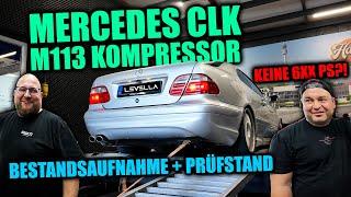 Mercedes CLK M113 Kompressor - Bestandsaufnahme & Prüfstand - Doch eine Enttäuschung?