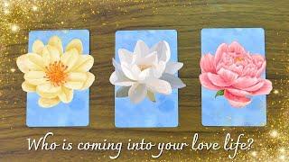 Who is Coming into Your Love Life?  Pick a Card Tarot Reading