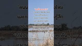 คนโดนนอกใจ #นอกใจ #shortvideo #sad #mindset #วันวิสาน้ำเหนือคำคม
