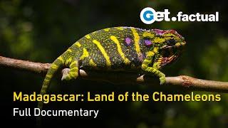 Madagascar: Land of the Chameleons - Full Nature Documentary