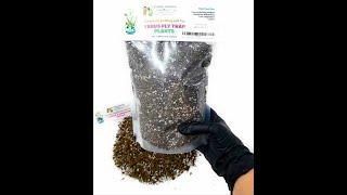 Carnivorous Plant Soil Mix For Venus Flytrap Plants #carnivorousplants #plants