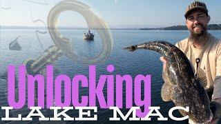 Lake Macquarie Flathead Fishing - Tips & Tricks to Land a Trophy