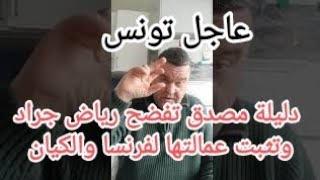 عاجل دليلة مصدق تفضح رياض جراد وتعلن.الحرب على تونس وتتآمر علي قيس سعيد برتاجي ماكس