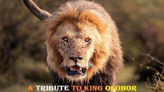 A Tribute To A Fallen King Olobor 