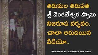 Tirumala Venkateswara Swamy Temple abhishekam real video