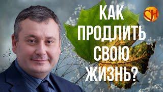 Как продлить жизнь. Лайф Коучинг. Как продлить жизнь с помощью Лайф Коучинга.