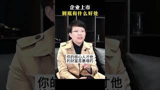 张琦新商业思维《企业上市到底有什么好处？》 #商业思维 #商业 #创业 #上市 #老板 #认知 #张琦