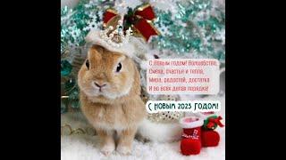 НОВОГОДНЕЕ ПОЗДРАВЛЕНИЕ ОТ ДМИТРИЯ / С НОВЫМ 2023 ГОДОМ.