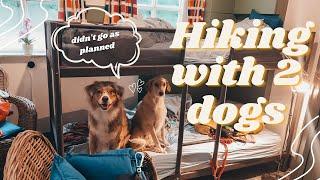 Hiking Vlog - With my Australian Shepherd