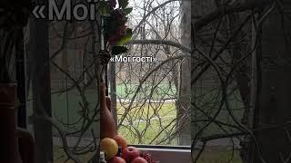 Мої гості