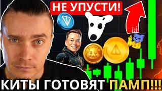 ️TON ВСЕХ ПОТЯНЕТ НА ЛУНУ️MEM DOGS, NOTCOIN, HMSTR, CATS, X IMPIRE, TONCOIN ️ КИТЫ ГОТОВЯТ ПАМП!