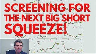 How To Scan For Big Short Squeezes ️