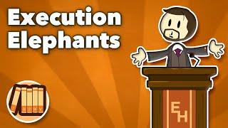 Execution Elephants - Ibn Battuta - Extra History #shorts