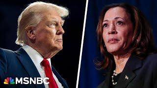 '78-year-old criminal': Harris campaign 'in fight mode' against Trump