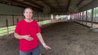 Blue Ribbon Dairy Farm Tour