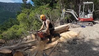 Milling Trees I Planted 25 Years Ago – Chainsaw Milling Tips & Tricks