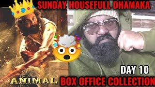 ANIMAL BOX OFFICE COLLECTION DAY 10 | SUNDAY HOUSEFULL | RANBIR KAPOOR | BLOCKBUSTER