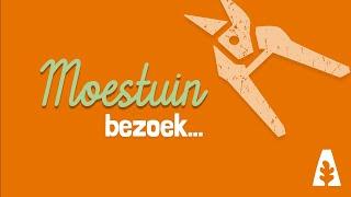 Stadstuinieren - Moestuin bezoek