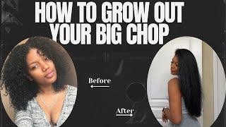 How I Grew Out My Big Chop | Natural & Curly Hair