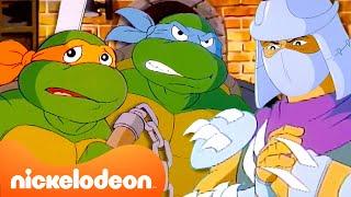 TMNT | GANZE FOLGE: Ninja Turtles treffen auf BETRÜGER   (1987) | @TMNT | Nickelodeon Deutschland