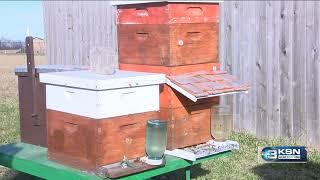 Beekeepers prepare for Kansas winter