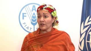 Remarks by  Nigeria's Environment Minister at FAO
