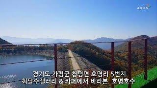 [광화문 영상갤러리] 최달수 갤러리&카페에서 바라본 호명호수