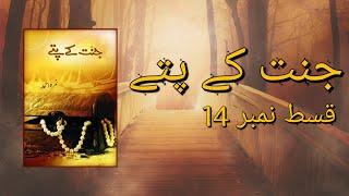 Jannat Ke Pattay Episode 14/  By Nemrah Ahmad  Urdu Novel