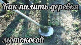 Как пилить деревья мотокосой