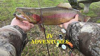 LAKE AMADOR FISHING WITH THE BEST SPOON ??? ( SUBURBAN TROUT )