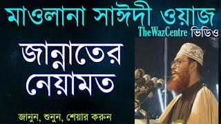 জান্নাতের নেয়ামত। Maulana Delwar Hossain Saidi Waz।