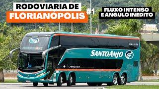 SURREAL! Movimentação de ônibus na Rodoviária de Florianópolis-SC #1 | Marcopolo G8, Busscar e mais.