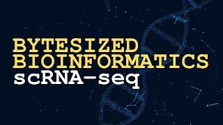 Single Cell RNA Sequencing | Bytesized Bioinformatics