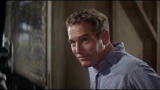 Paul Newman - Cool Hand Luke (1967)  |  "Nobody can eat 50 eggs" | An Oscar-Winning Classic