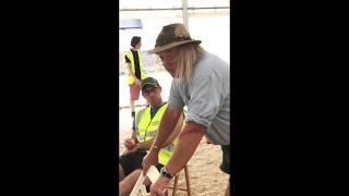 Phil Harding: Reluctant Metal Detectorist