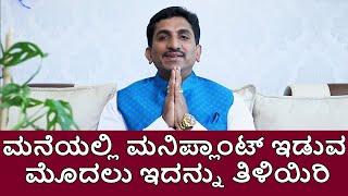 Vastu tips for placing money plant at home | Vijay Karnataka