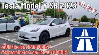 Tesla Model Y SR 2023: SÄUFER oder SPARFUCHS? Verbrauchstest auf der Autobahn!