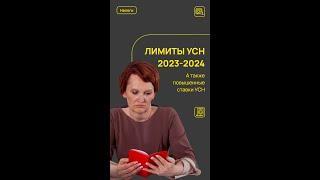 Рассказываю про лимиты УСН 2023 и 2024 год