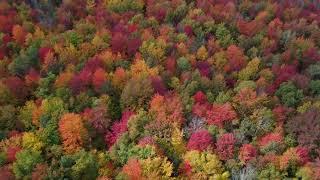 Fall Colors Drone Stock Footage V9