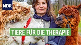 Therapeuten mit Fell und Federn - wenn Tiere heilen helfen | Die Nordreportage | NDR