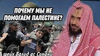 Почему мы не помогаем ПАЛЕСТИНЕ? Шейх Валид ас-Синани