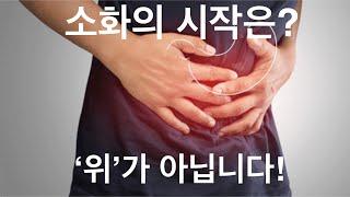 소화의 시작은 위장이 아닙니다. '입'이냐구요? 아닙니다!! #기능의학, #비타민