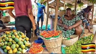 Rural African village market Day // Cost Of Living In Rural  Africa