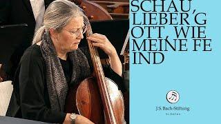 J.S. Bach - Cantata BWV 153 "Schau, lieber Gott, wie meine Feind" (J. S. Bach Foundation)