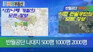 반월공단 나대지 500평 1000평 2000평 매매#강산애부동산