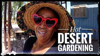 Hot Gardening in the Arizona Desert