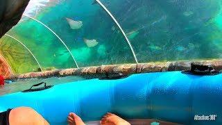 Stingray Raft Water Ride Attraction - Aquatica Water Park