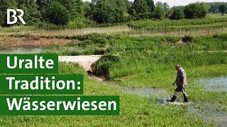 Wässerwiesen: Tradition zur Bewässerung von Wiesen in der Fränkischen Schweiz | Unser Land | BR